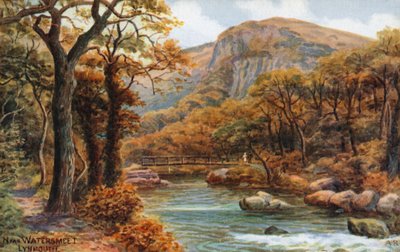 In der Nähe von Watersmeet, Lynmouth von Alfred Robert Quinton